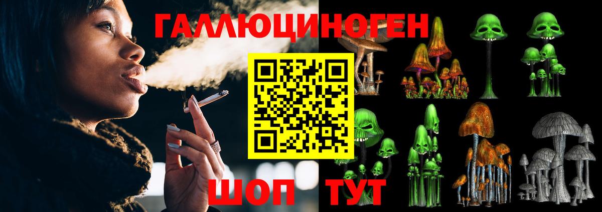 Псилоцибиновые грибы Magic Shrooms  цены наркотик  Тольятти  Вход с VPN  Псилоцибиновые грибы мицелий 