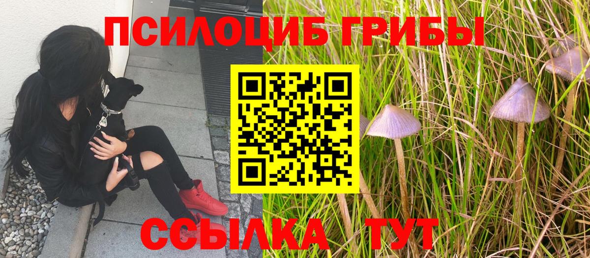 Галлюциногенные грибы Magic Shrooms Тольятти
